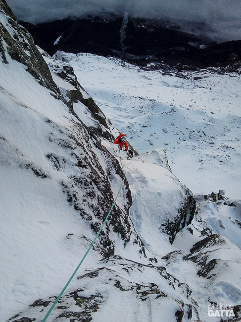 Valentine in the Mallory Porter (© P. Gatta)