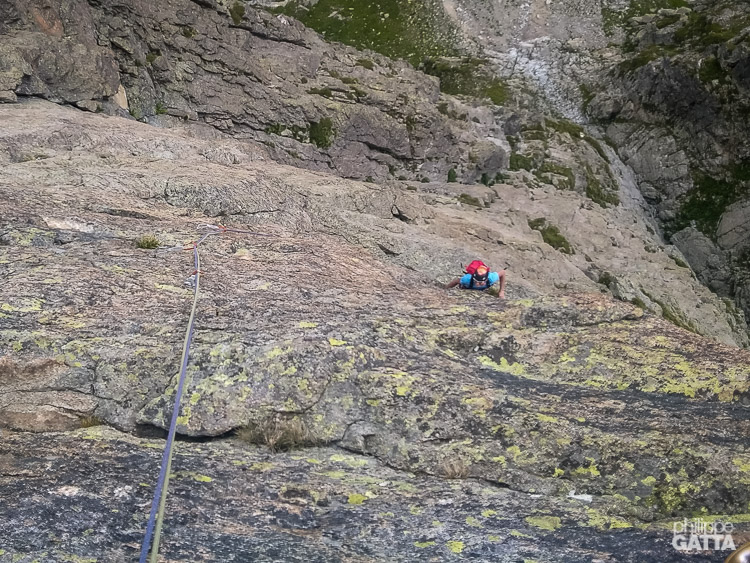 Pitch #7 (© P. Gatta)