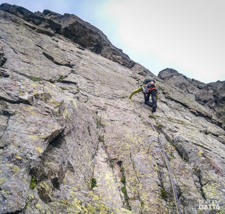 1st pitch (© P. Gatta)