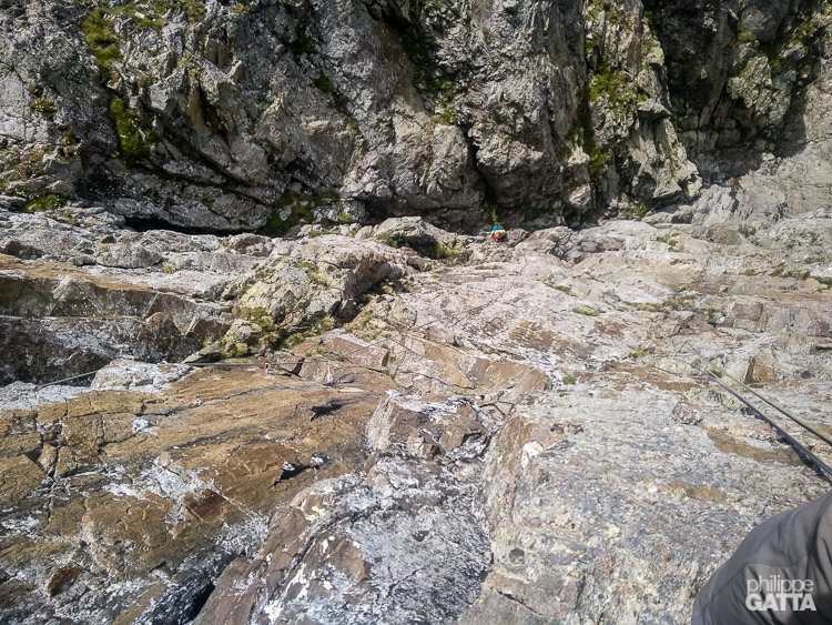 Chat Pelé (© P. Gatta)