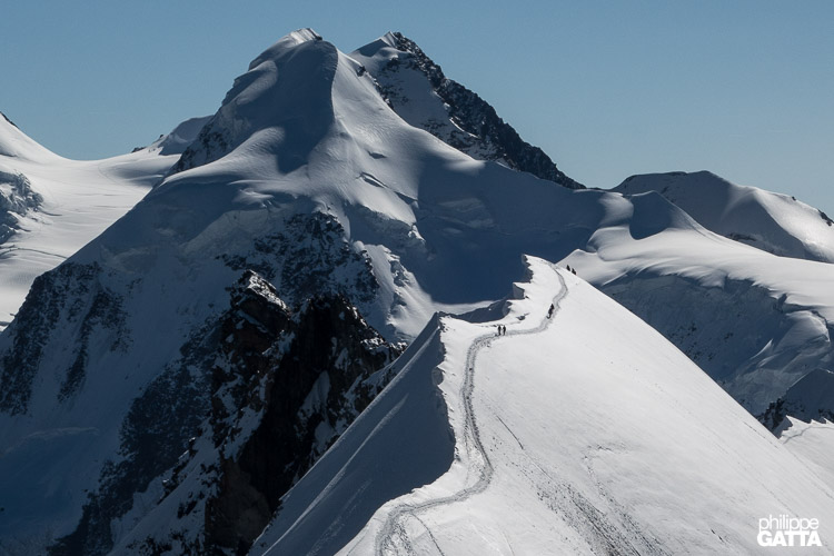 Climbers on the Central summit of Breithorn, Liskam behind (© P. Gatta)