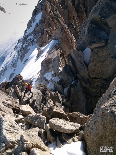 Aiguille du Chardonnet, Arête Forbes (© P. Gatta)