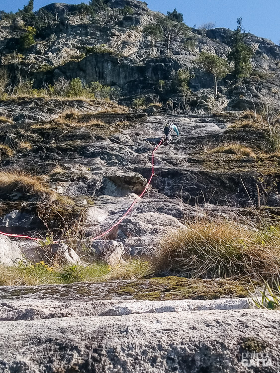 Barberine Magicien d’Oz