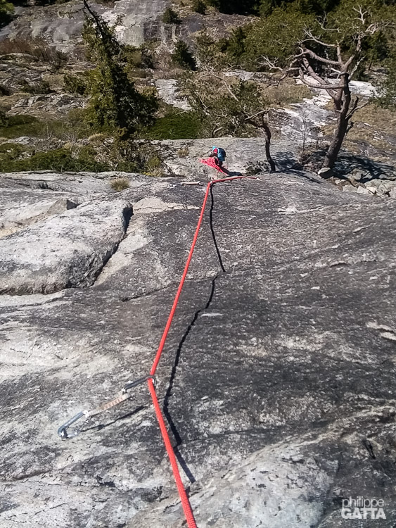 Barberine Magicien d’Oz