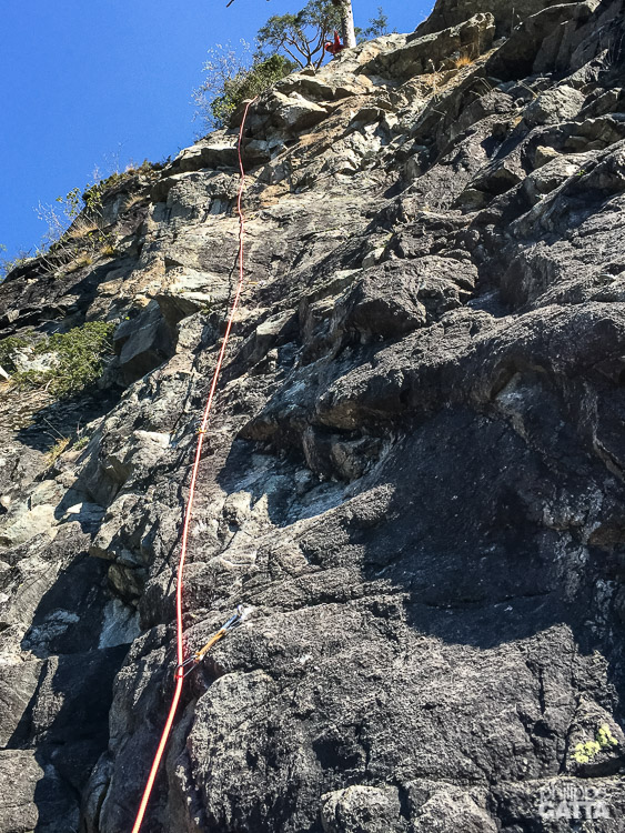 Barberine Magicien d’Oz