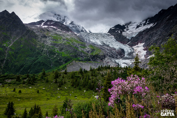Mont-Blanc Massif (© A. Gatta)
