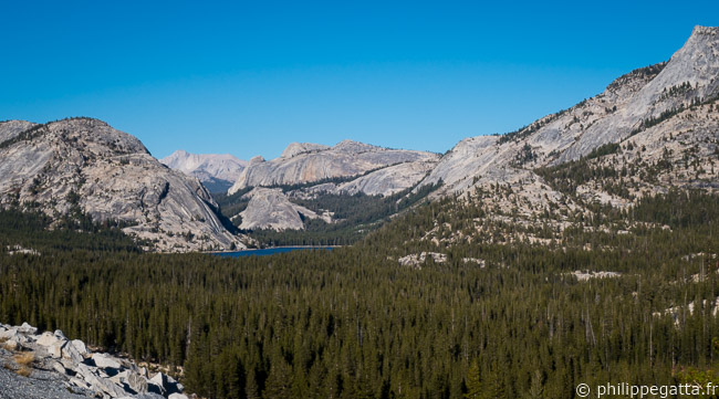 Tenaya Lake (© A. Gatta)