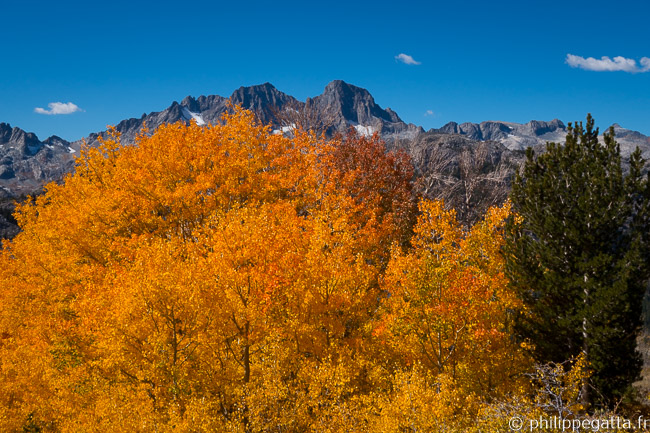 Ansel Adams Wilderness (© P. Gatta)