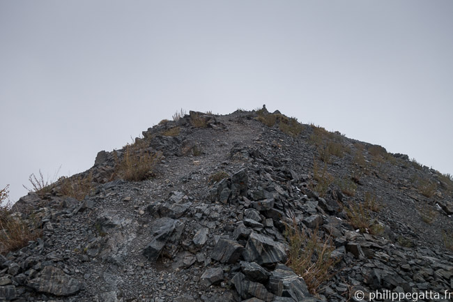Top of Telescope Peak in the clouds (© P. Gatta)